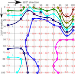 Measured contours 
